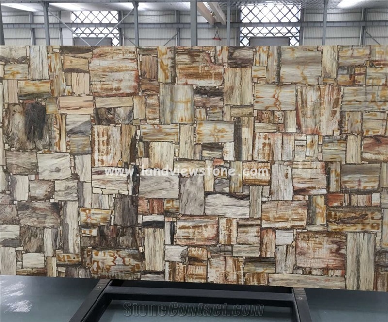 Brown Semiprecious Gem Stone Petrified Wood Slab