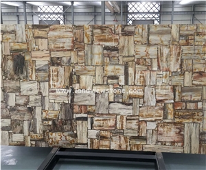 Brown Semiprecious Gem Stone Petrified Wood Slab