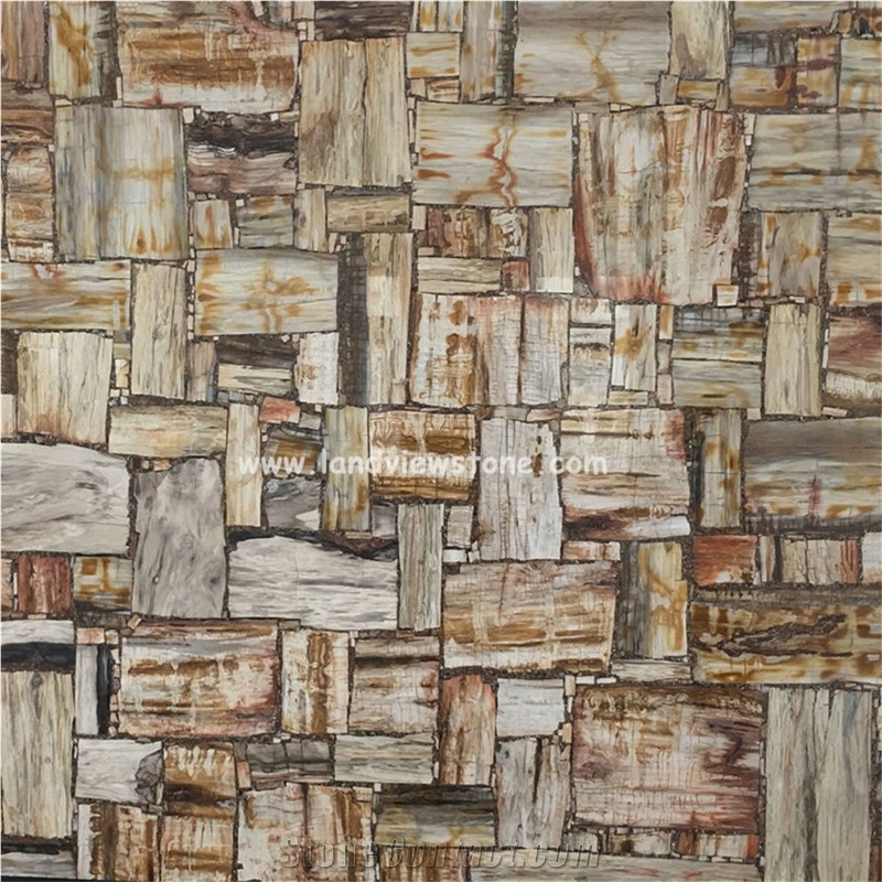 Brown Semiprecious Gem Stone Petrified Wood Slab