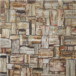 Brown Semiprecious Gem Stone Petrified Wood Slab