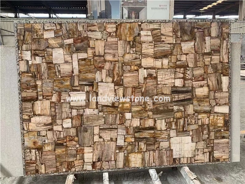 Fossil Stone Petrified Wood Semiprecious Stone Slabs