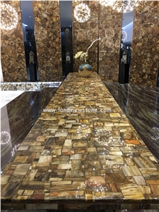 Fossil Stone Petrified Wood Semiprecious Stone Slabs