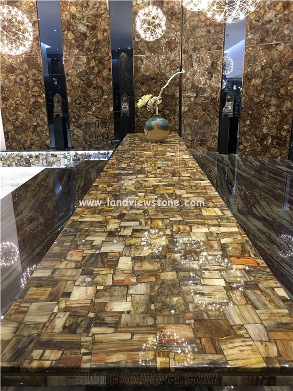 Semiprecious Stone Multicolor Petrified Wood Slabs