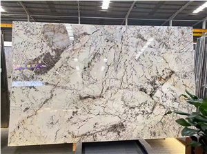Bookmatch Luxury Polished Pandora Granite Tiles Slab Stone