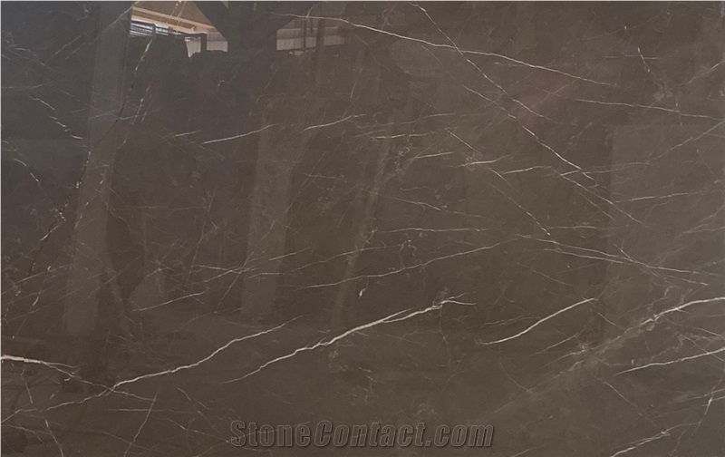 Ornament Golden Brown Marble Big Slab