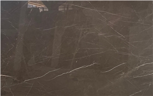 Ornament Golden Brown Marble Big Slab