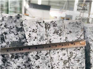 G654 Sesame Black Granite Steps