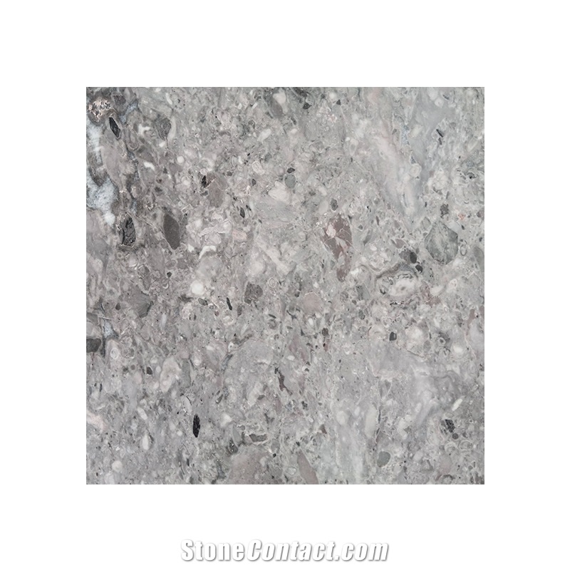 Grey Terrazzo Slab And Floor Tile Interior Wall