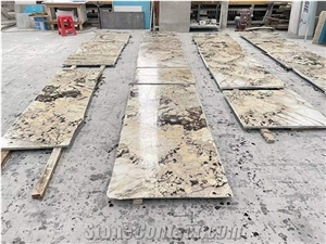 Pandora Granite Composite Honeycomb Panel Wall Cladding