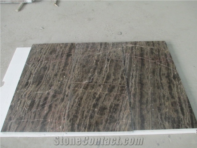 Coffee Brown Saint Laurent Brown,Brown Tiny Brown Tiny