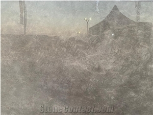 Rhino Bronze Marble Slabs, Grey Marble
