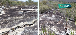 Quartzito Shades Grey Quartzite Slabs