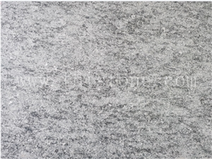 Brazil Olive Green Verde Springbok Granite Verde Maritaca