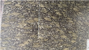 New Olive Green Verde Springbok Granite Verde Maritaca