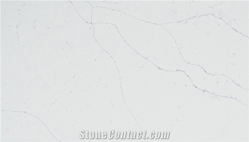 CSH83005 - Calacatta Mattania Quartz Slabs