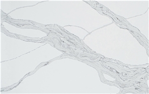 CSH83009 - Calacatta Forza Quartz Slabs