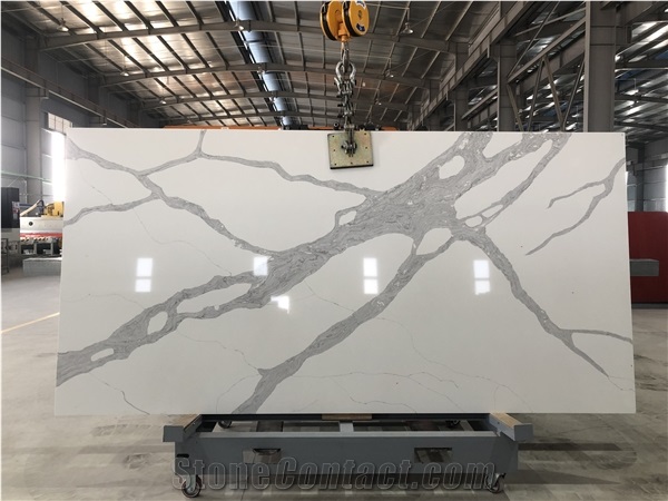 CSH83009 - Calacatta Forza Quartz Slabs