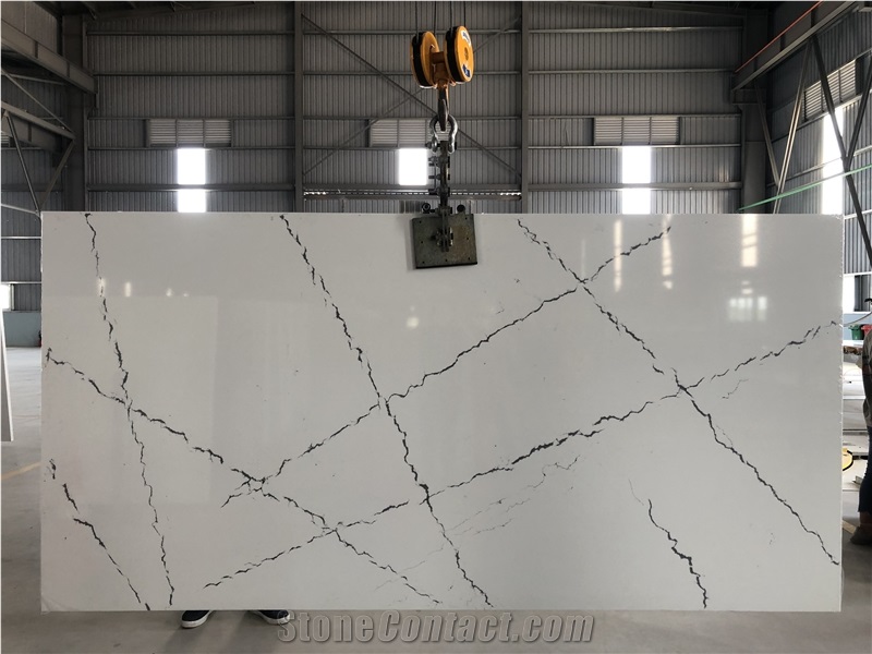 CSH83014 - Calacatta Venatino