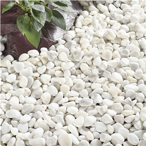 Small White Cream Tumbled Pebble Stone