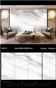Special Offer Chinese Sintered Stone Background Slab