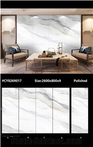 Top Sale House Decor Sintered Stone From China