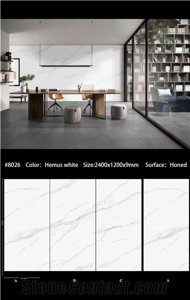 Top Seller High Quality China Wall Decor Sintered Stone Slab