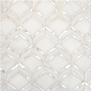 Mother Of Pearl Mosaic Tile Shell White Colorful Gold Splash