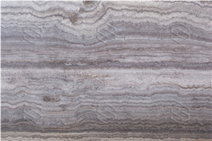 Light Silver Travertine Vein Cut Slabs