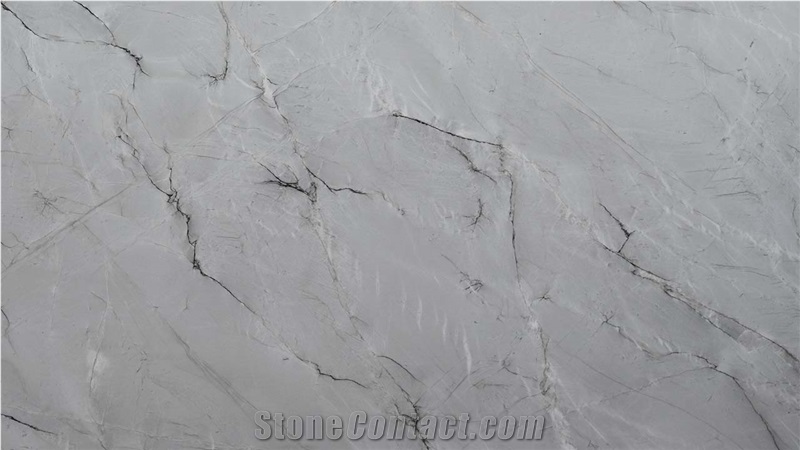 Le Blanc Quartzite Slabs