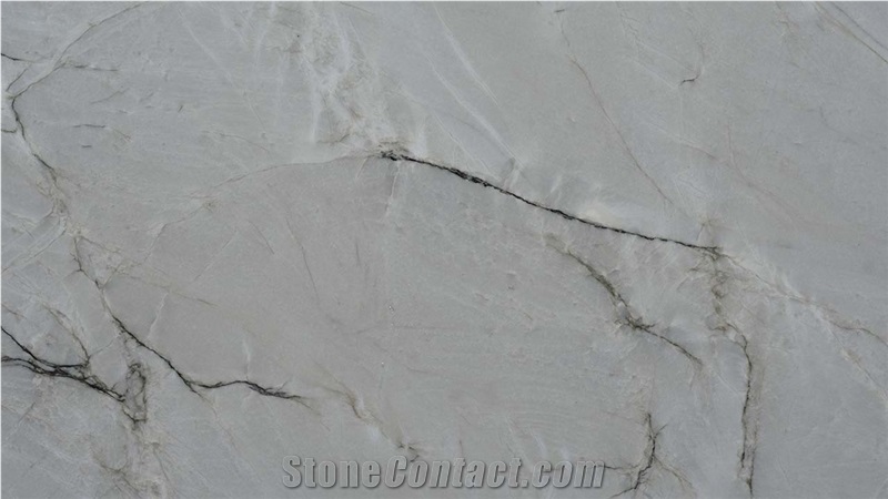 Le Blanc Quartzite Slabs