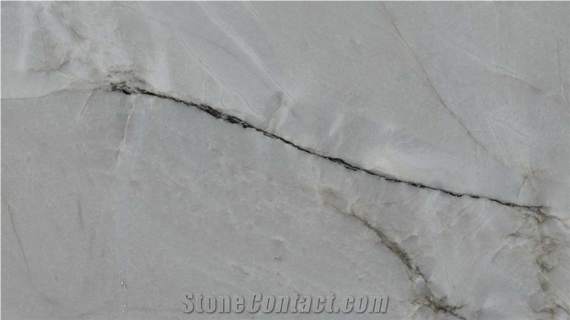 Le Blanc Quartzite Slabs