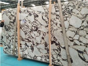 Calacatta Viola Marble Slabs For Wall Cladding