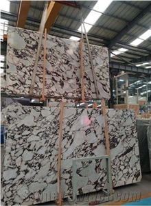 Calacatta Viola Marble Slabs For Wall Cladding