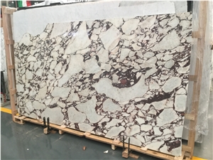 Calacatta Viola Marble Slabs For Wall Cladding