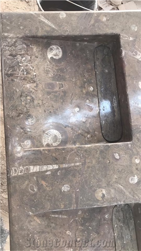 Fossilized Marble-Fossil Brown Marble Bathroom Top With Double Wash Basins