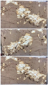 Patagonia Exotic Backlit Gold Quartzite Feature Wall Slabs