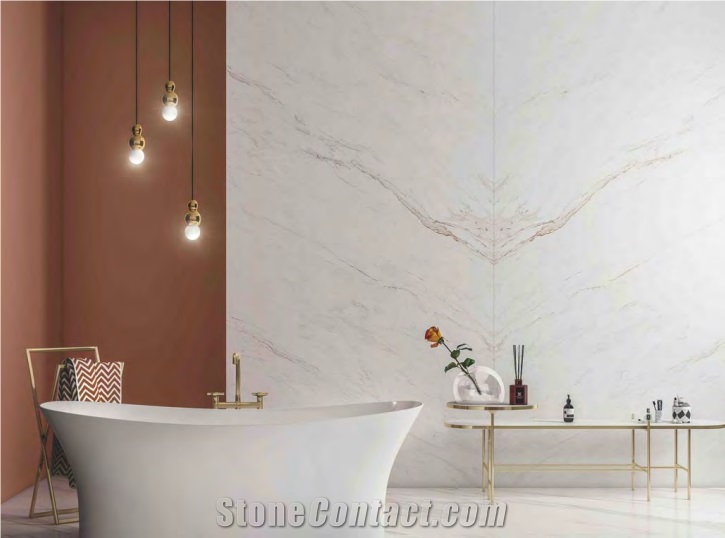 Golden Phoenix Marble Sintered TV Wall