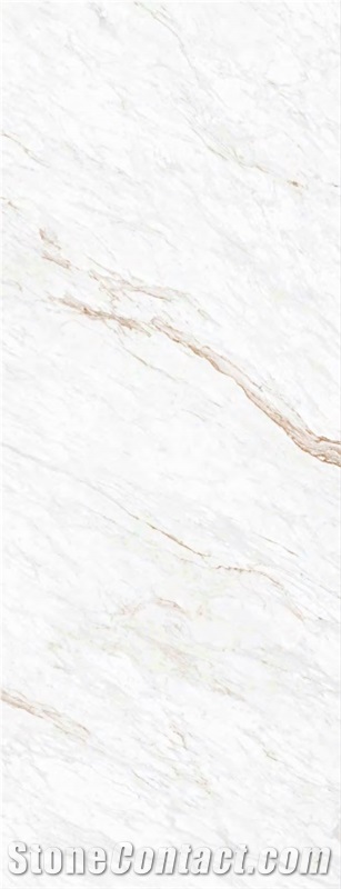 Golden Phoenix Marble Sintered TV Wall