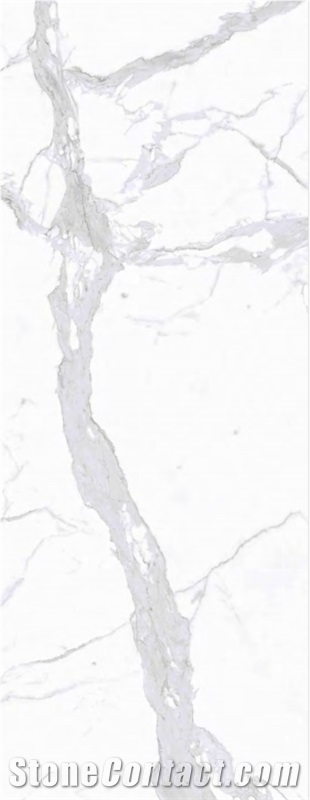 Golden Phoenix Marble Sintered TV Wall