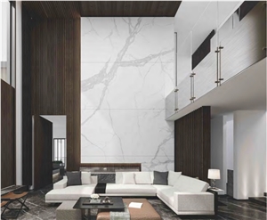 Golden Phoenix Marble Sintered TV Wall