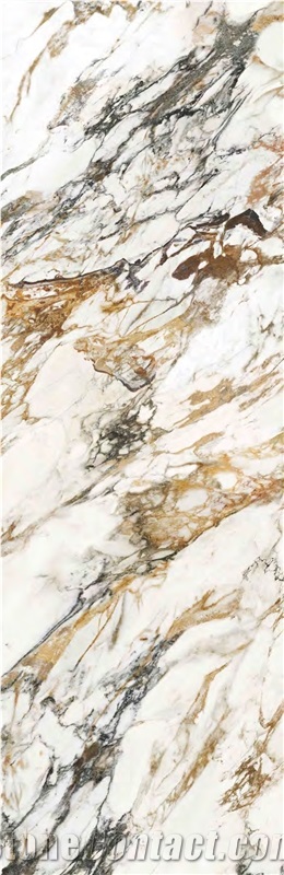 HERMES GOLD RIMMED WHITE SINTERED Stone TILES