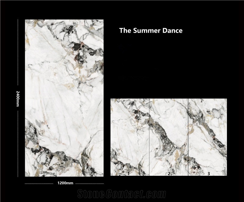 China Sintered Stone The Summer Dance Polished Slab