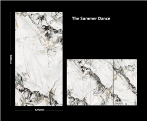 China Sintered Stone The Summer Dance Polished Slab