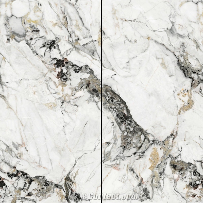Sintered Stone Summer Flowers Polished Slab