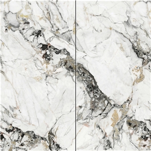 Sintered Stone Summer Flowers Polished Slab