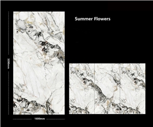 Sintered Stone Summer Flowers Polished Slab