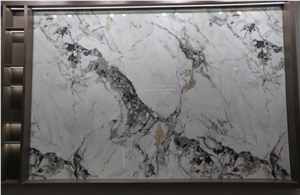 Sintered Stone Summer Flowers Polished Slab