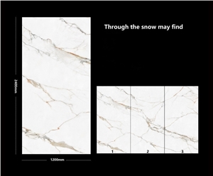 Sintered Stone Through The Snow May Find Polished Slab