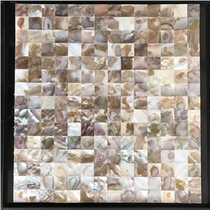 Mother Of Pearl Shell Mosaic Pattern Tile Nature