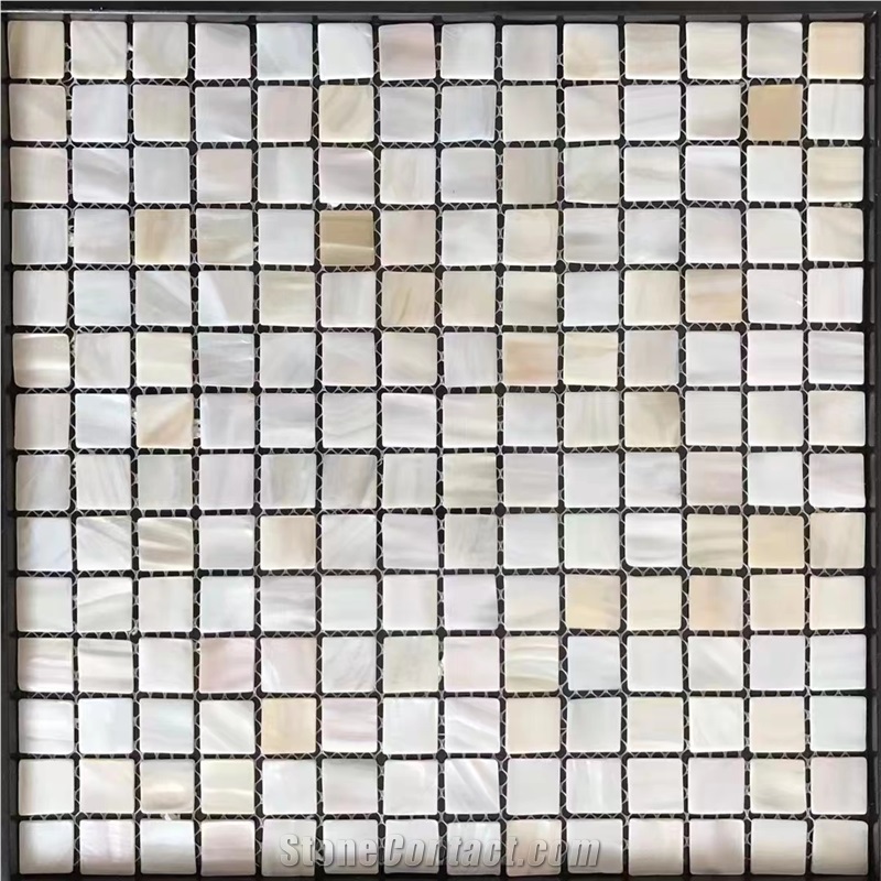 Mother Of Pearl Shell Mosaic Pattern Tile Nature